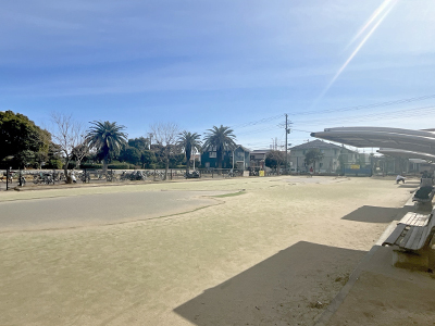 鵠沼運動公園