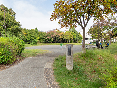 荏田南とちのき公園