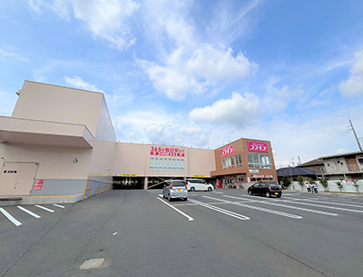 コスモス　戸室店