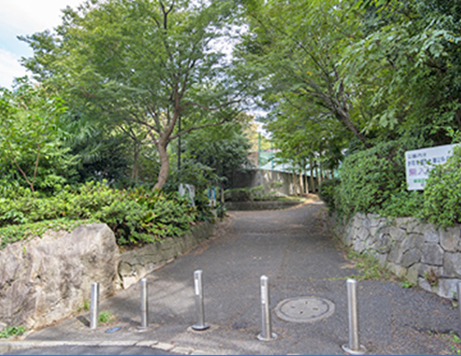 綱島公園