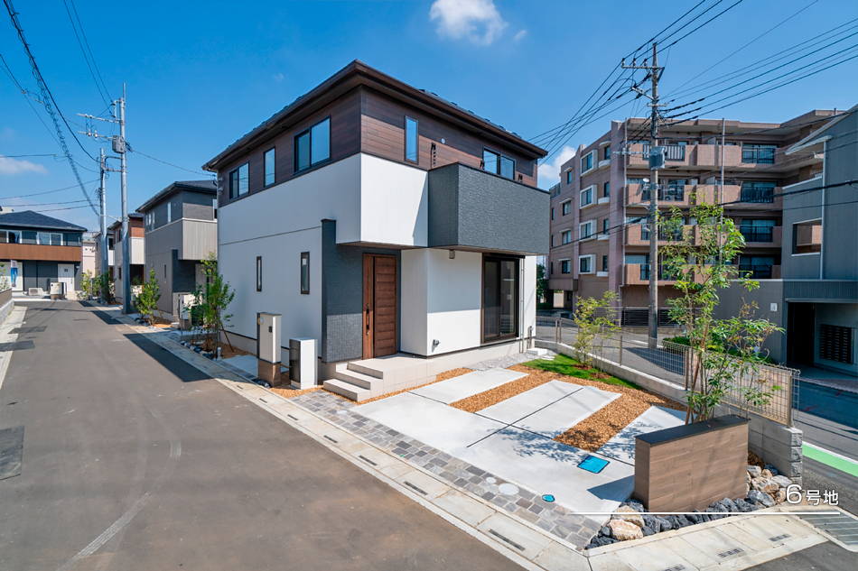 6号地