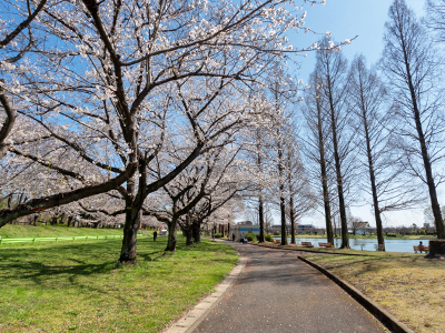 川越水上公園