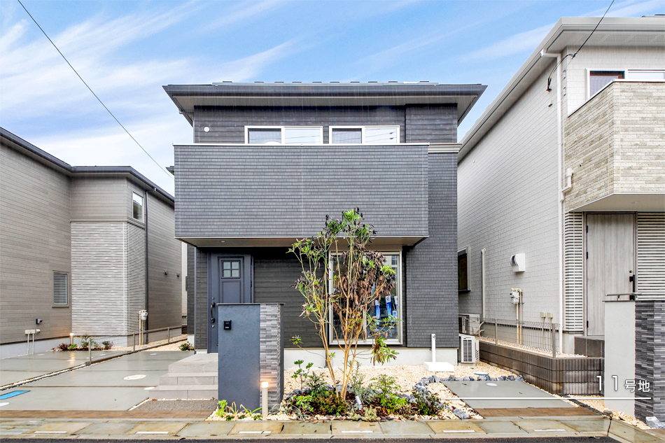 11号地