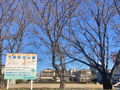 大房新生公園