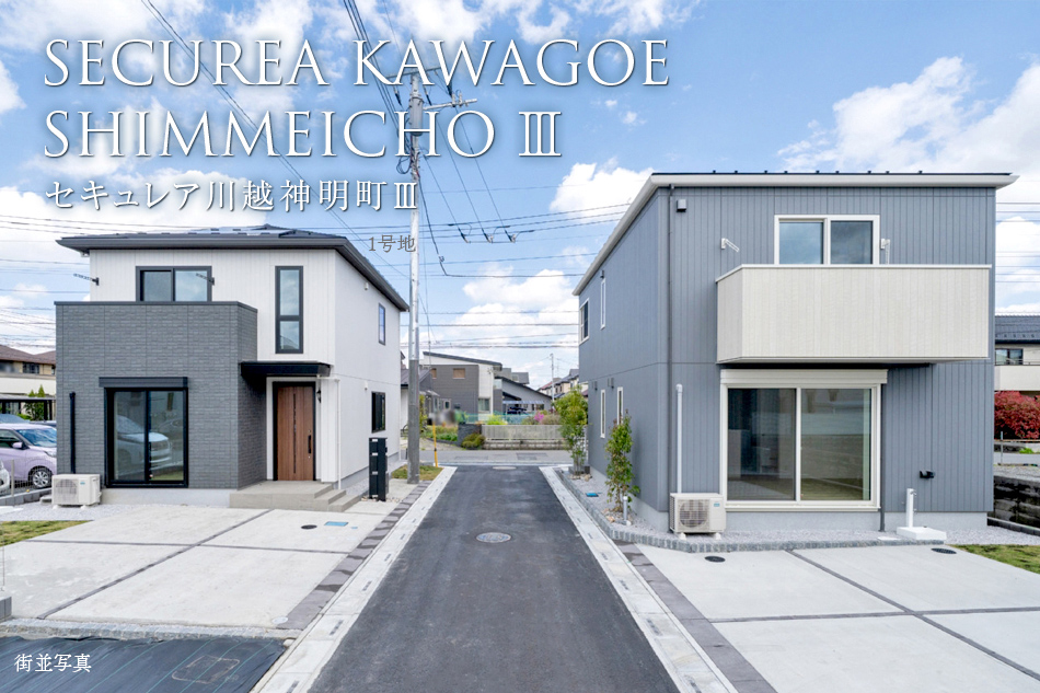 1号地