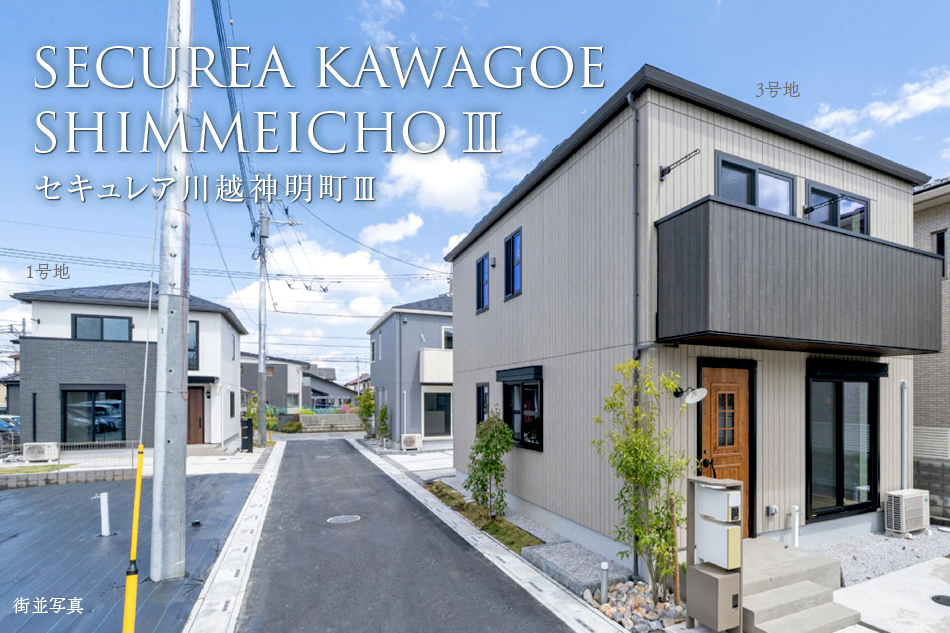 1号地