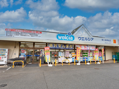ウエルシア鶴ヶ島藤金店