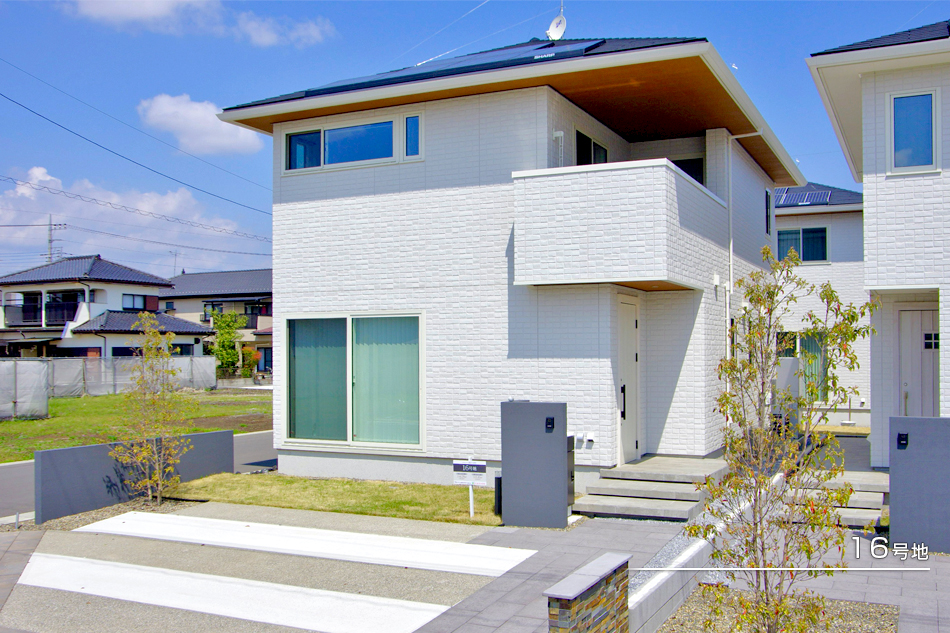 16号地