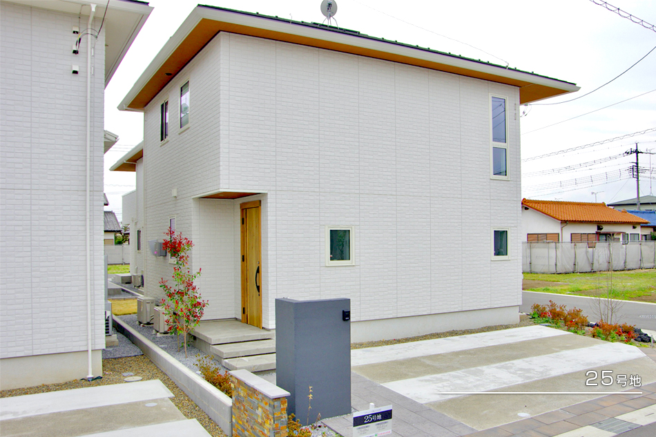 25号地