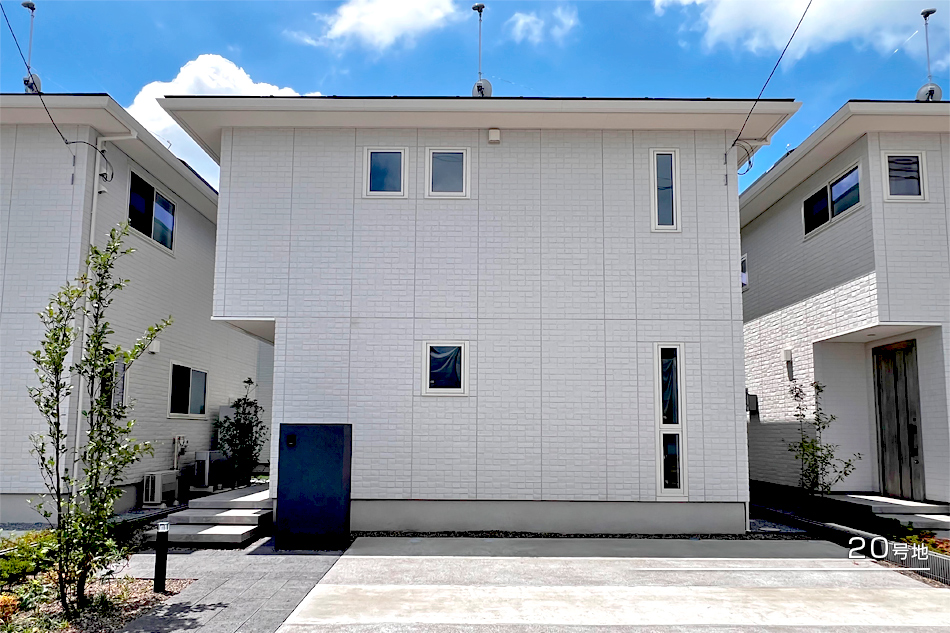 20号地