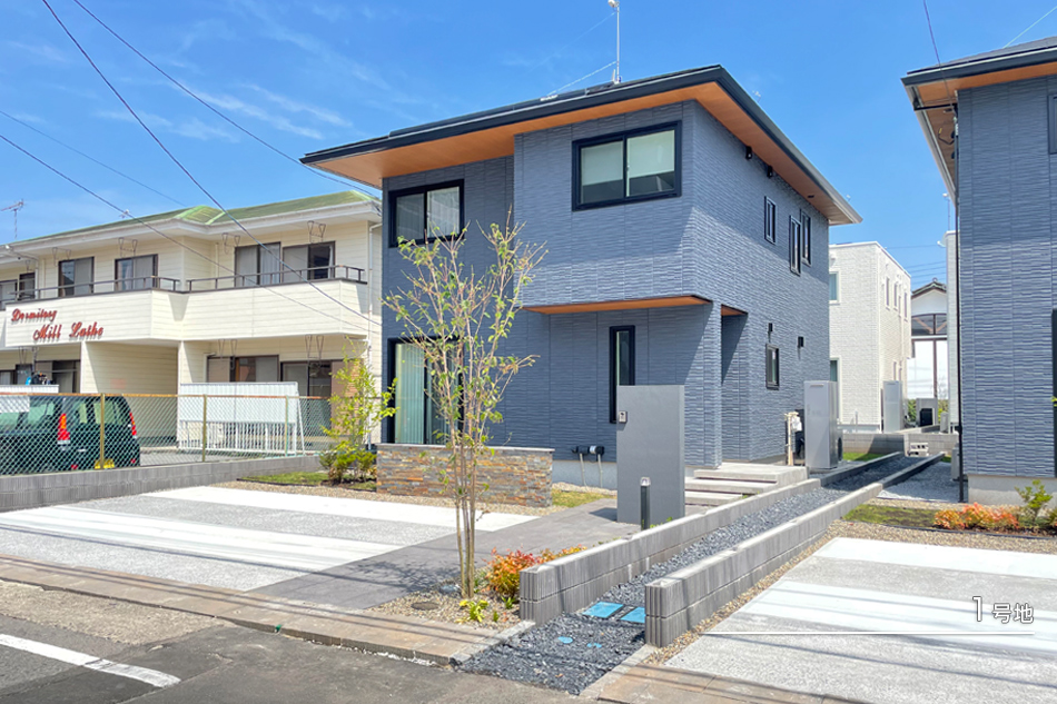 1号地