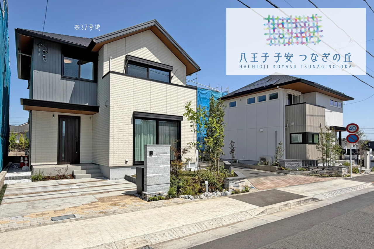 37号地