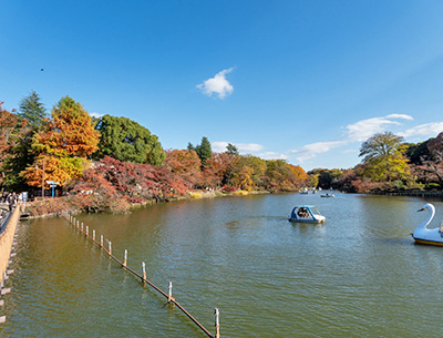井の頭恩賜公園