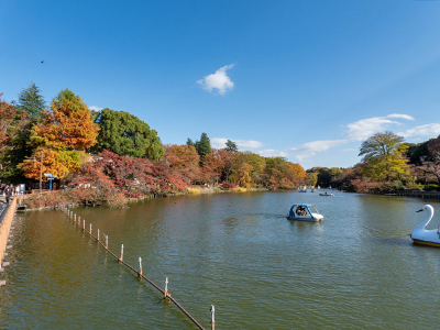 井の頭恩賜公園