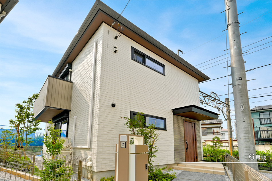 6号地