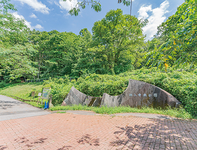 殿入中央公園