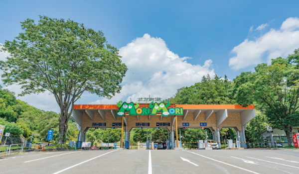 さがみ湖MORI MORI