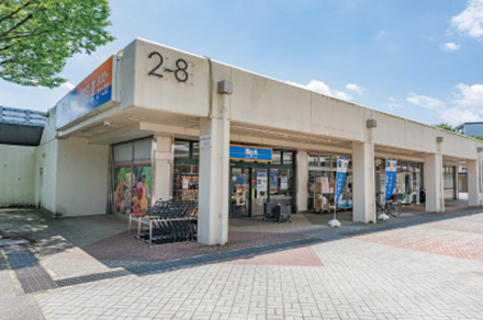 ビッグ・エー八王子館ヶ丘団地店