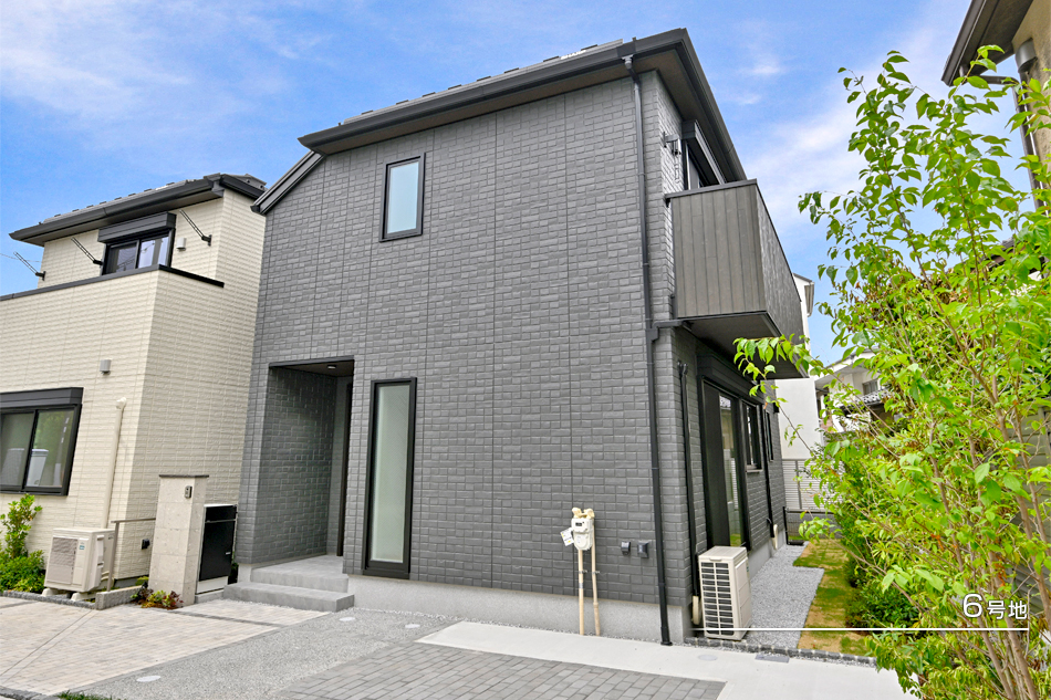 6号地