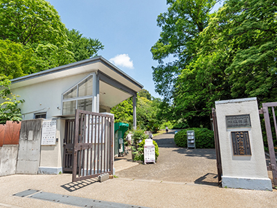 小石川植物園