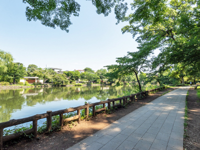 石神井公園