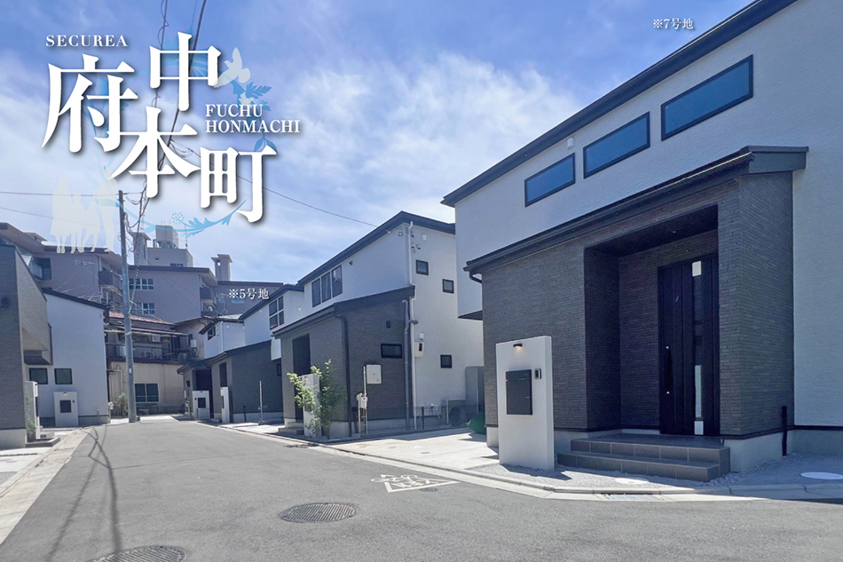 5号地