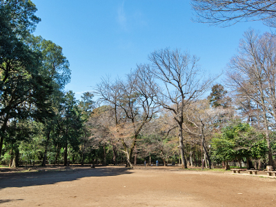 都立井の頭恩賜公園第二公園
