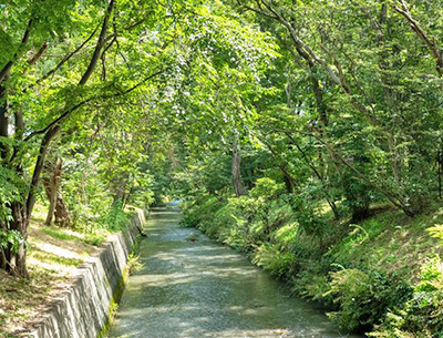 玉川上水緑道