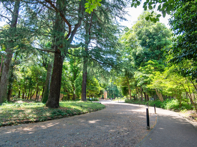 駒場公園