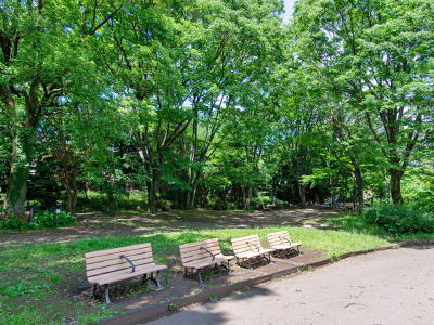 駒場野公園