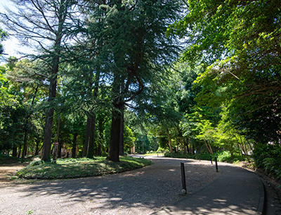 駒場公園