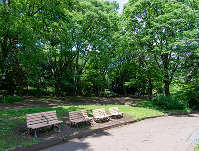 駒場野公園