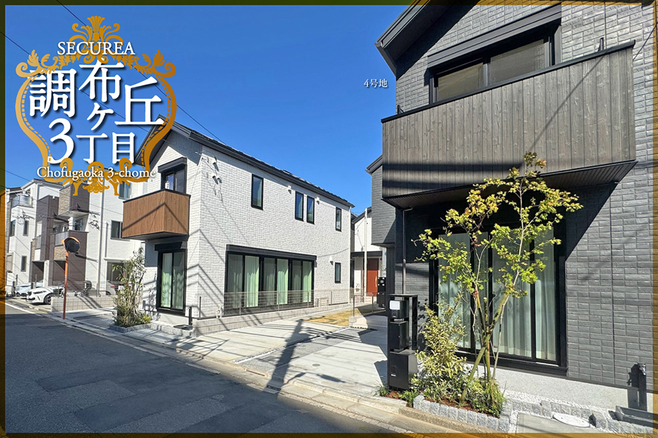 4号地