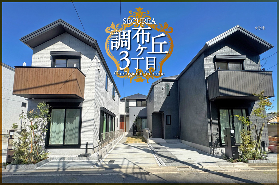 4号地