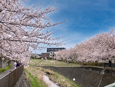 三沢川親水公園