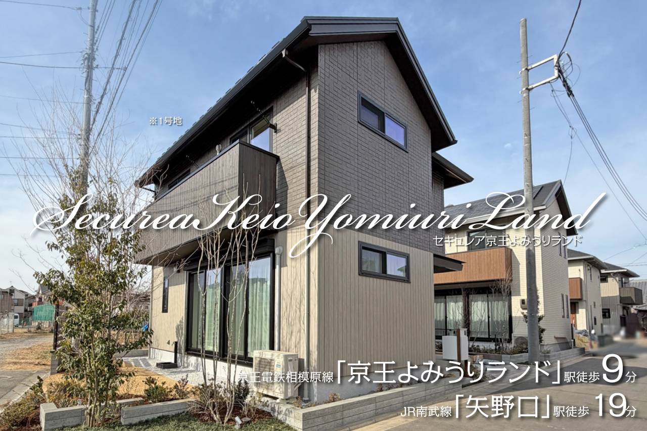 1号地
