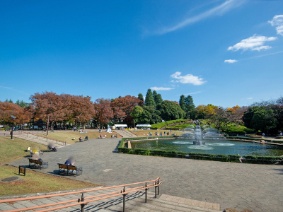 世田谷公園