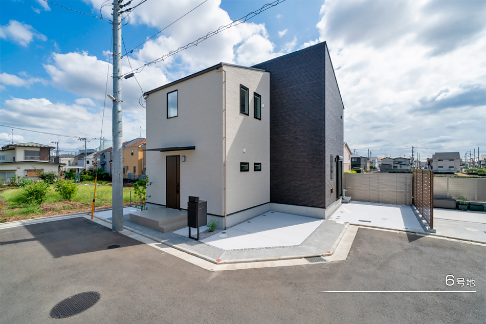 6号地