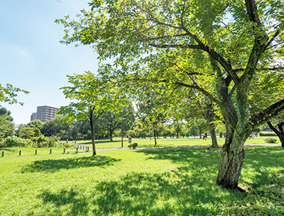東大和南公園