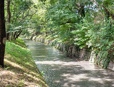玉川上水