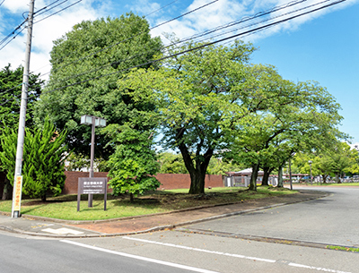 国立音楽大学