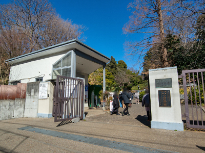 小石川植物園