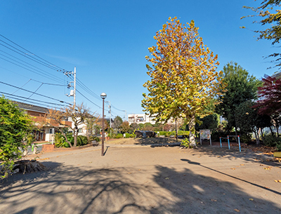 大泉中島公園