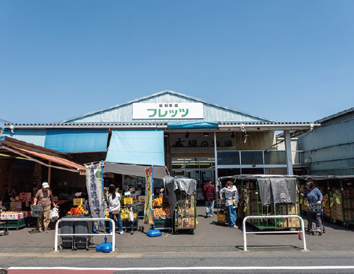 新鮮市場　フレッツ