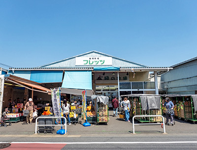 新鮮市場 フレッツ