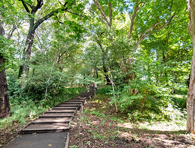 林試の森公園