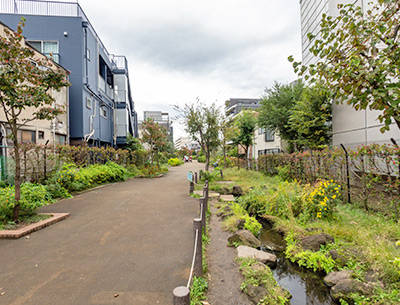 武蔵小山緑道公園