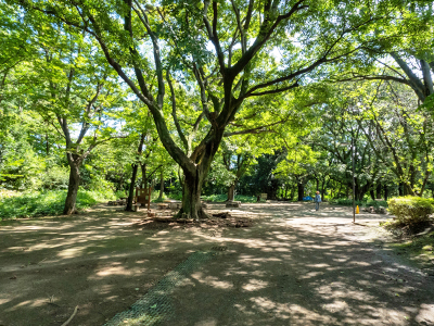 駒場野公園