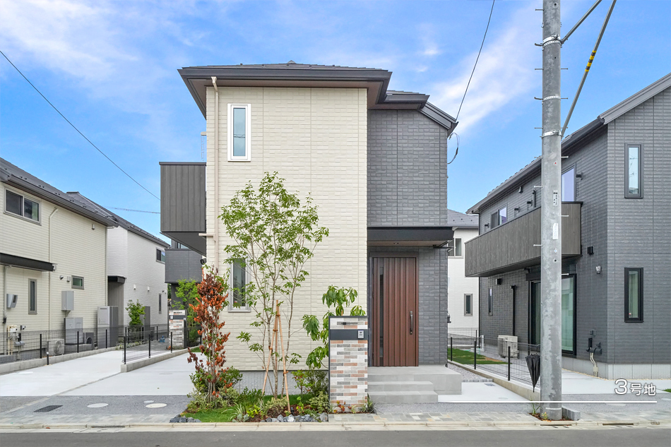 3号地