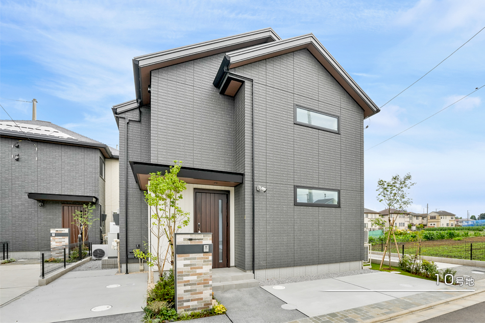 10号地